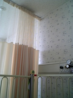 �V���[�x�b�g�̂�����