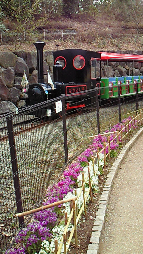 �V���[�x�b�g�̂�����