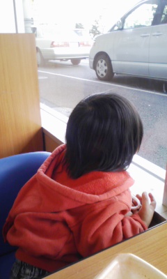 �V���[�x�b�g�̂�����