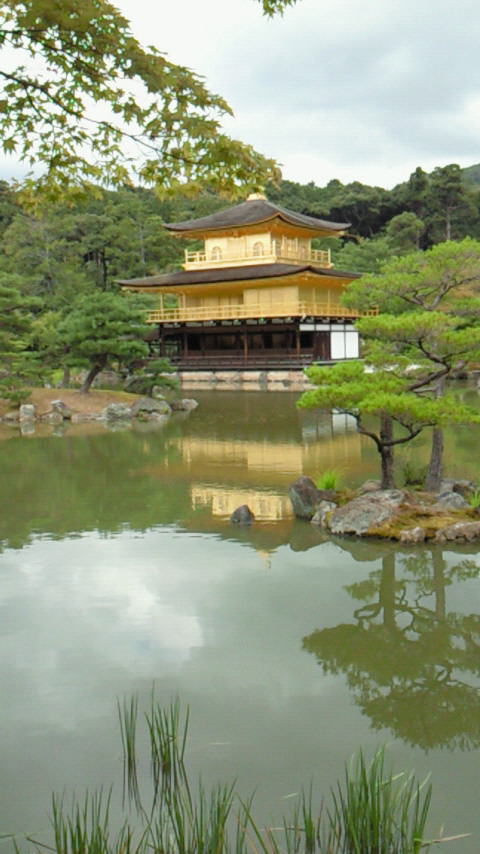 �V���[�x�b�g�̂�����