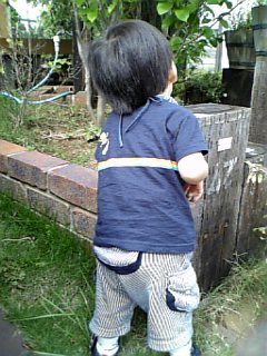 �V���[�x�b�g�̂�����