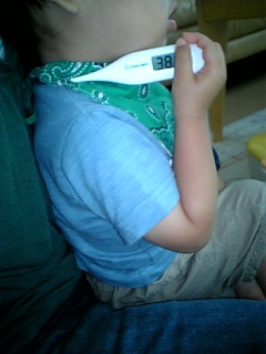 �V���[�x�b�g�̂�����