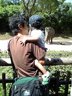 �V���[�x�b�g�̂�����