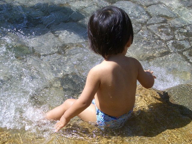 �V���[�x�b�g�̂�����