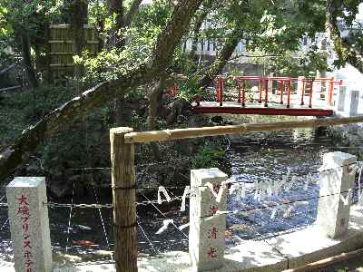 �V���[�x�b�g�̂�����