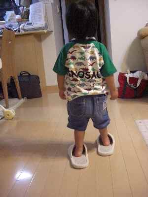 �V���[�x�b�g�̂�����