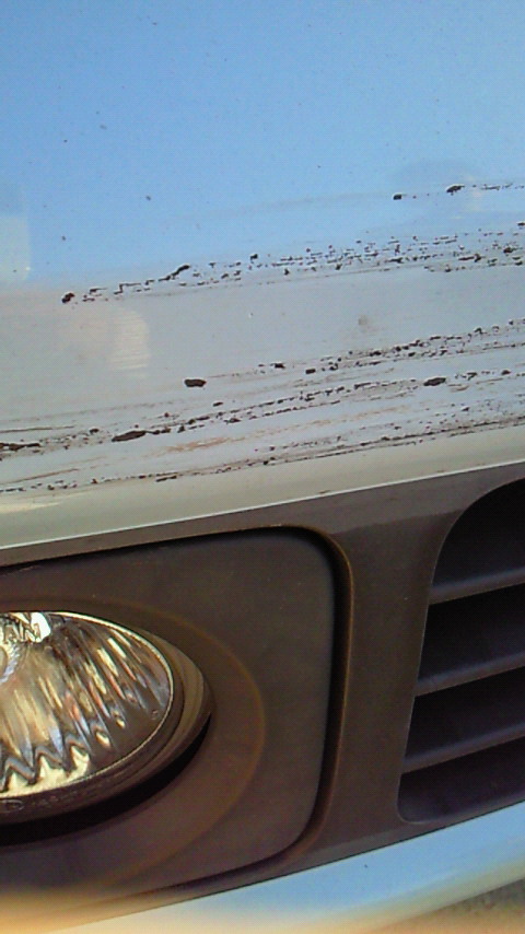 �V���[�x�b�g�̂�����