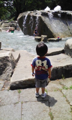 �V���[�x�b�g�̂�����