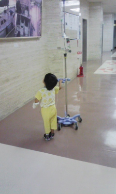 �V���[�x�b�g�̂�����