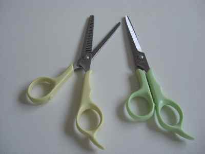 �V���[�x�b�g�̂�����