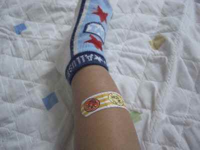 �V���[�x�b�g�̂�����