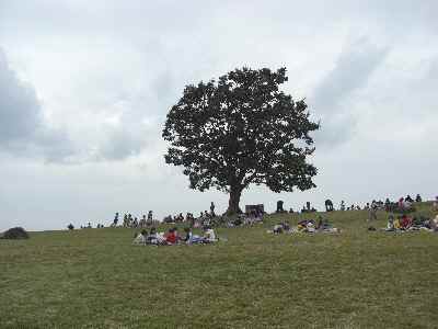 �V���[�x�b�g�̂�����