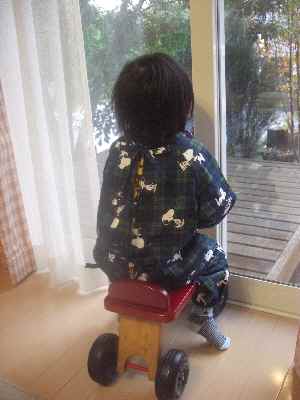 �V���[�x�b�g�̂�����