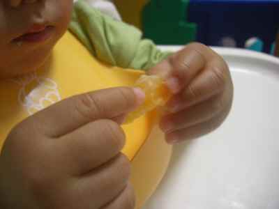 �V���[�x�b�g�̂�����