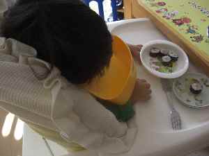 �V���[�x�b�g�̂�����