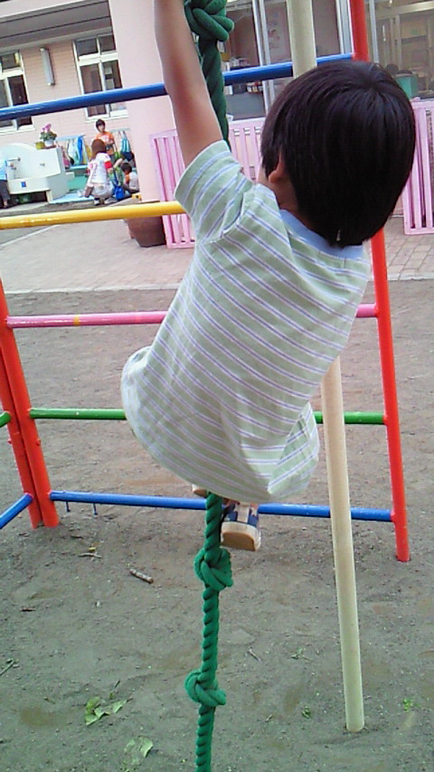 �V���[�x�b�g�̂�����