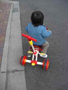 �V���[�x�b�g�̂�����