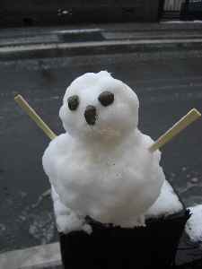 �V���[�x�b�g�̂�����