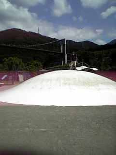 �V���[�x�b�g�̂�����