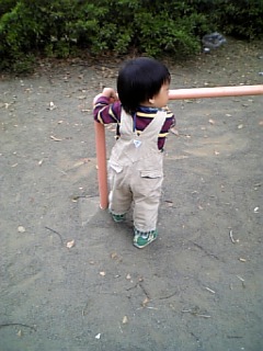 �V���[�x�b�g�̂�����