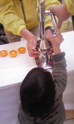 �V���[�x�b�g�̂�����