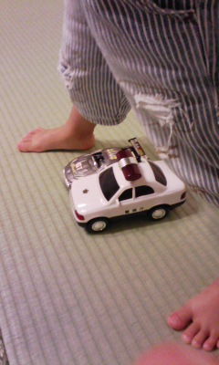 �V���[�x�b�g�̂�����