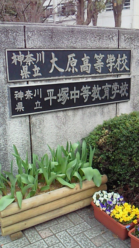 �V���[�x�b�g�̂�����