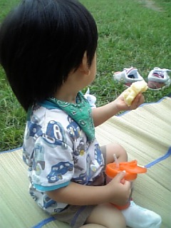 �V���[�x�b�g�̂�����