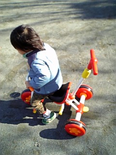 �V���[�x�b�g�̂�����