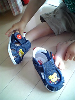 �V���[�x�b�g�̂�����