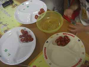 �V���[�x�b�g�̂�����