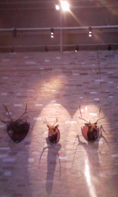 �V���[�x�b�g�̂�����