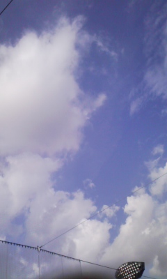 �V���[�x�b�g�̂�����