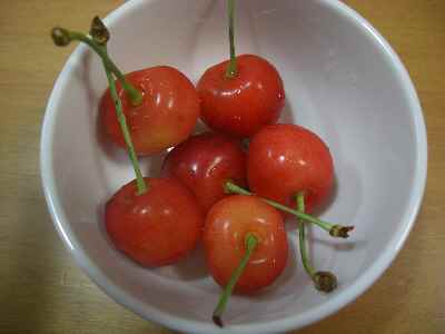 �V���[�x�b�g�̂�����