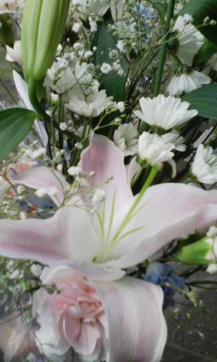 �V���[�x�b�g�̂�����