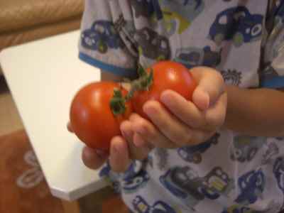 �V���[�x�b�g�̂�����