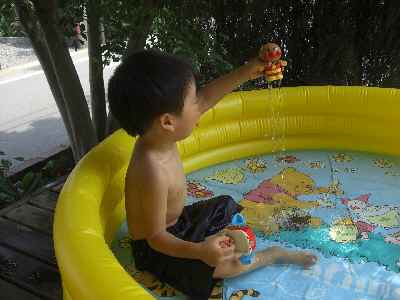 �V���[�x�b�g�̂�����