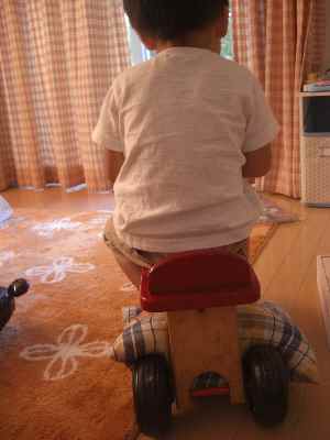 �V���[�x�b�g�̂�����