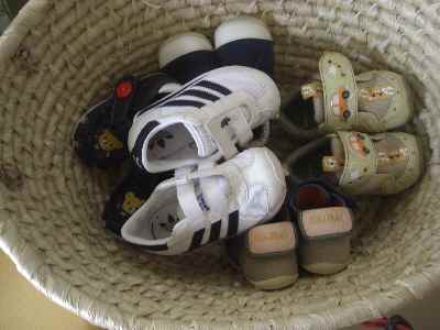 �V���[�x�b�g�̂�����