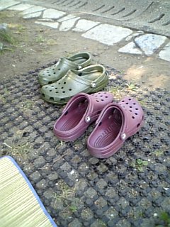 �V���[�x�b�g�̂�����