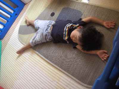 �V���[�x�b�g�̂�����