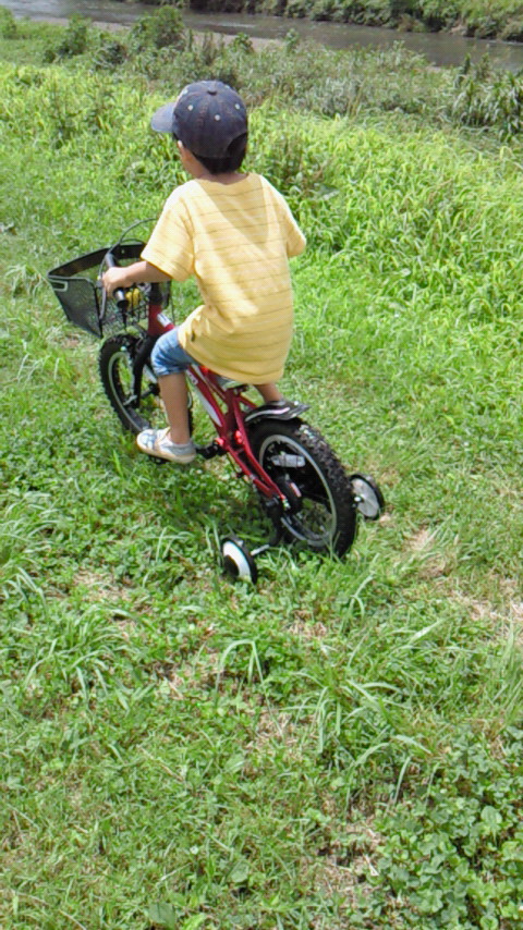 �V���[�x�b�g�̂�����