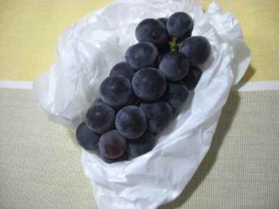 �V���[�x�b�g�̂�����