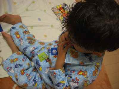 �V���[�x�b�g�̂�����