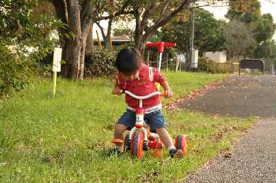 �V���[�x�b�g�̂�����