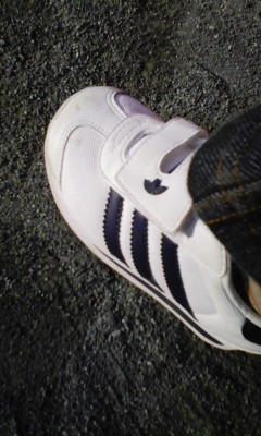 �V���[�x�b�g�̂�����