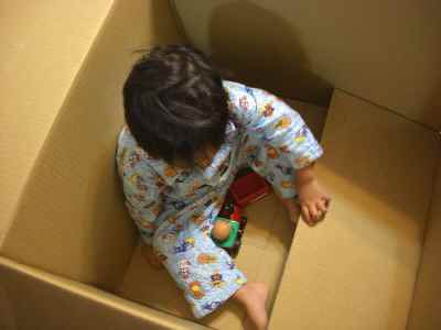 �V���[�x�b�g�̂�����