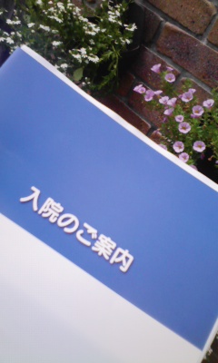 �V���[�x�b�g�̂�����