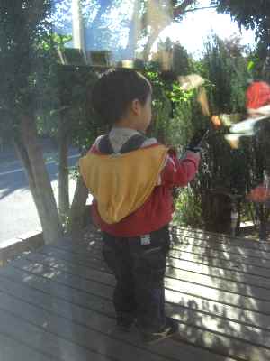 �V���[�x�b�g�̂�����