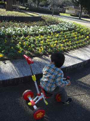 �V���[�x�b�g�̂�����